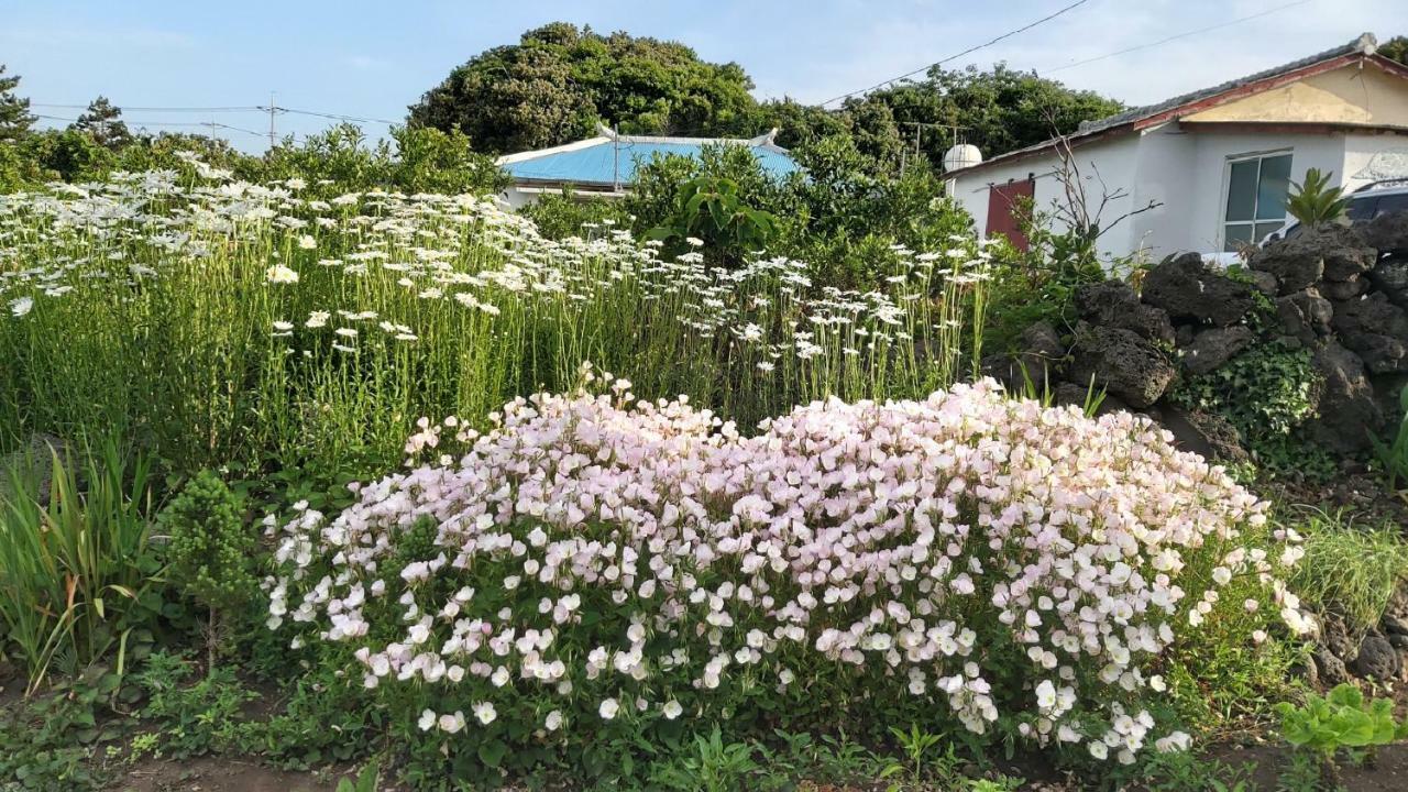Blue Island Guesthouse Согвипхо Экстерьер фото